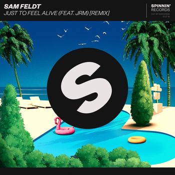 Sam Feldt - Just To Feel Alive (feat. JRM) (Remix)