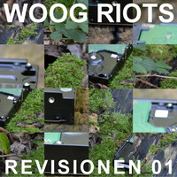 Woog Riots - Revisionen, Vol. 1