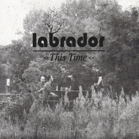 Labrador - This Time