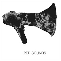 Boy Division - Pet Sounds