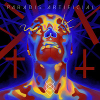 Contact Lights - Paradis Artificial
