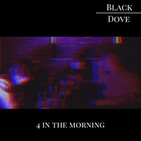 Black Dove - 4 in the Morning