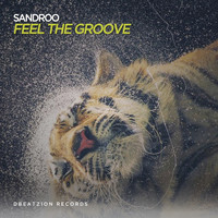 Sandroo - Feel The Groove
