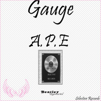 Gauge - A.P.E. (Explicit)