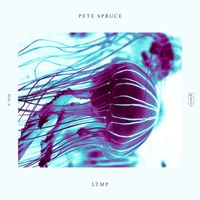 Pete Spruce - LTMP (Let The Music Play)