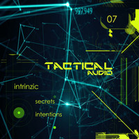 Intrinzic - TA-07