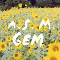ASM - Gem