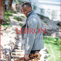 LeBron - Shades