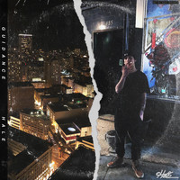 Hale - Guidance (Explicit)