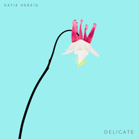 Katie Herzig - Delicate