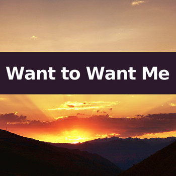 Want to Want Me, Pop Hits and Instrumental Pop Hits - Want to Want Me