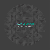 Red Pig Flower - We Dream Now