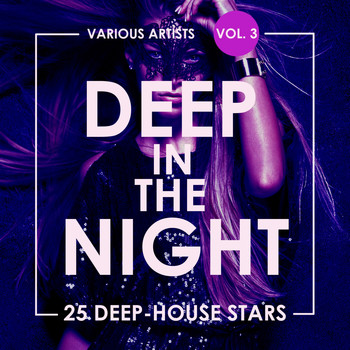Various Artists - Deep In The Night, Vol. 3 (25 Deep-House Stars)