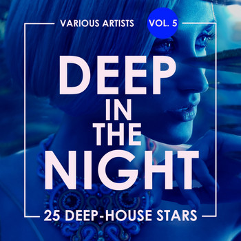 Various Artists - Deep In The Night, Vol. 5 (25 Deep-House Stars)