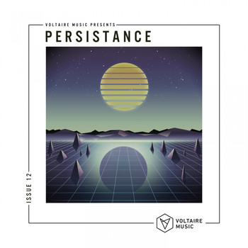 Various Artists - Voltaire Music pres. Persistence #12