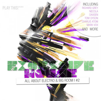 Various Artists - Excessive House, Vol. 2 - All About Electro & Big Room