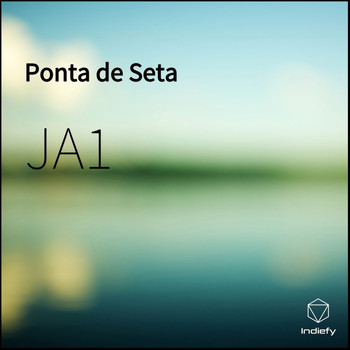 JA1 - Ponta de Seta