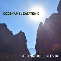 Codename : Catatonic - Sitting Bull Stevia