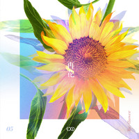 EXID - [Re:flower] PROJECT #5