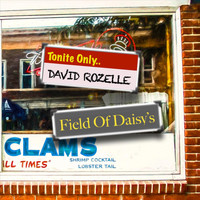 David Rozelle - Field of Daisy's (Explicit)
