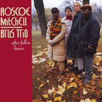 Roscoe Mitchell & Brus Trio - After Fallen Leaves