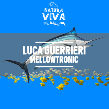 Luca Guerrieri - Mellowtronic