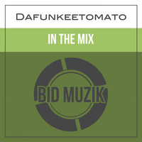 Dafunkeetomato - In the Mix (Original Mix)