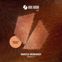 Marcus Meinhardt - Monkey