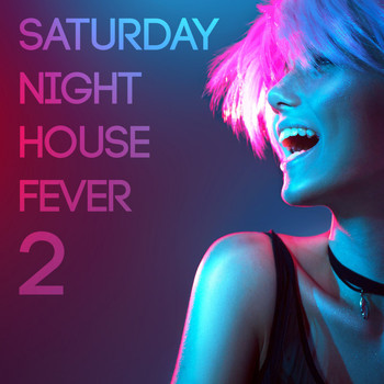 Various Artists - Saturday Night House Fever, Vol. 2 (Explicit)