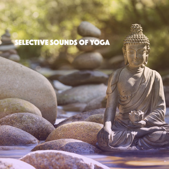Relaxing Mindfulness Meditation Relaxation Maestro, Deep Sleep Meditation and Yoga Tribe - Selective Sounds of Yoga