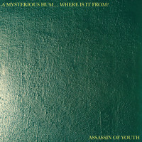 Assassin of Youth - A MYSTERIOUS HUM... WHERE IS IT FROM?