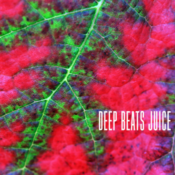 Various Artists - Deep Beats Juice