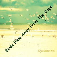 Sycamore - Birds Flew Away from the Cage