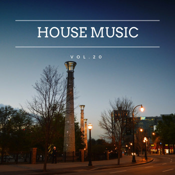 Various Artists - House Music, Vol. 20