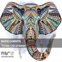 Mario Caminita - 'Til the 12th of Never