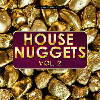 Various Artists - House Nuggets, Vol. 2