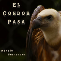Manolo Fernandez - El Condor Pasa