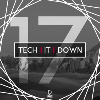 Various Artists - Tech It Down!, Vol. 17