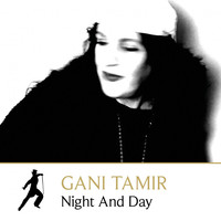 Gani Tamir - Night and Day