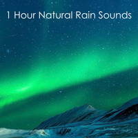 Zen Music Garden, White Noise Research, Nature Sounds - #1 Hour Natural Rain Sounds - Loopable for Sleep, Spa, Relaxation & Tinnitus