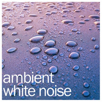 Zen Music Garden, White Noise Research, Nature Sounds - #21 White Noise Nature Sounds: Rain