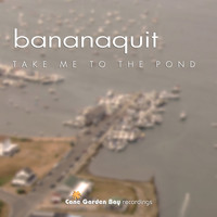Bananaquit - Take Me to the Pond