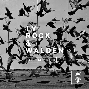 TV ROCK & Walden - See Me Run