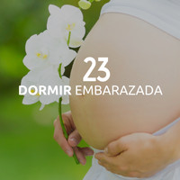 Ariana Padilla - Dormir Embarazada 23 - Música Relajante con los Sonidos de la Naturaleza para los Recien Nacidos