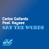 Carlos Gallardo - Say the Words