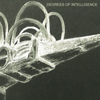 SCB - Degrees of Intelligence