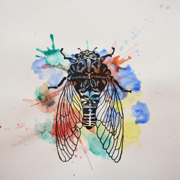 Jason Williams - Cicada