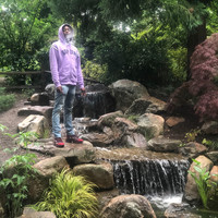 Chris Green - Lv Stains