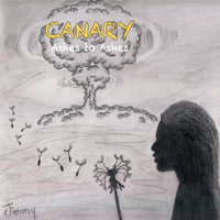 Canary - Ashes to Ashes
