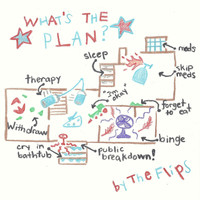 The Flips - What's the Plan? (Explicit)